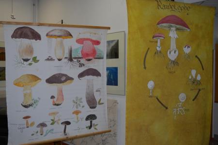 13. GOBARSKA RAZSTAVA V BOVCU 5