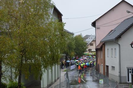 BOVEC MARATON USPEL 12