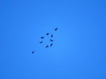 NESREČA USTVARILA NOVA PRIJATELJSTVA 2