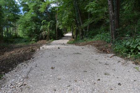 NOV ODSEK POTI V ZAVETJU GOZDA 2