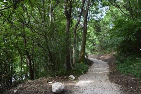 NOV ODSEK POTI V ZAVETJU GOZDA 4