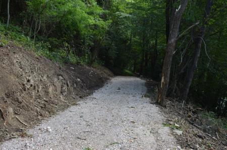 NOV ODSEK POTI V ZAVETJU GOZDA 5
