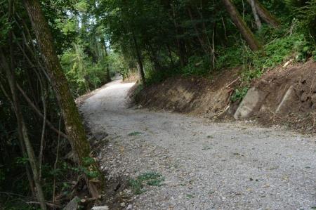 NOV ODSEK POTI V ZAVETJU GOZDA 6