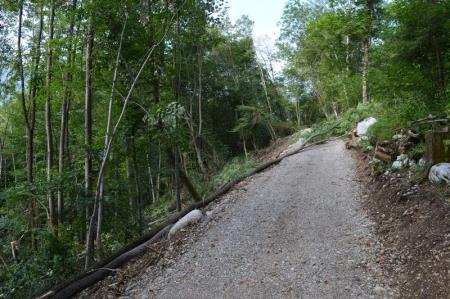 NOV ODSEK POTI V ZAVETJU GOZDA 7