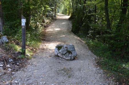 NOV ODSEK POTI V ZAVETJU GOZDA 9