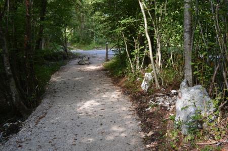 NOV ODSEK POTI V ZAVETJU GOZDA 10