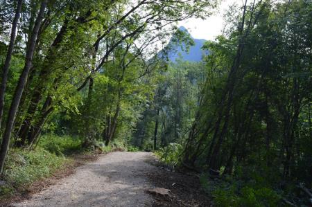 NOV ODSEK POTI V ZAVETJU GOZDA 11