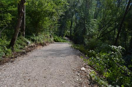 NOV ODSEK POTI V ZAVETJU GOZDA 12