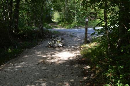 NOV ODSEK POTI V ZAVETJU GOZDA 15