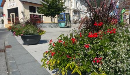 SONČNI KANIN ZOPET POSTAVIL NOV REKORD 7