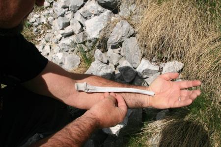 OGLED MOŽNE LOKACIJE ZA POSTAVITEV SPOMINSKE PLOŠČE 5