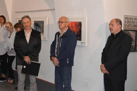 RAZSTAVA PLINSKI NAPAD 1917 7