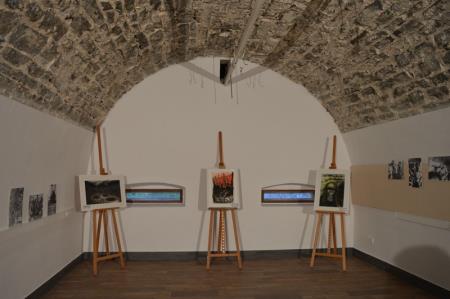 RAZSTAVA PLINSKI NAPAD 1917 14