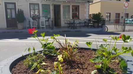 BOVŠKI TRG MORA BITI NAŠ PONOS 9