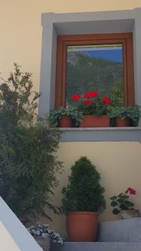 BOVŠKI TRG MORA BITI NAŠ PONOS 15