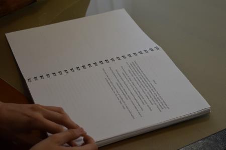 ŽUPAN SPREJEL PREŠERNOVO NAGRAJENKO 6