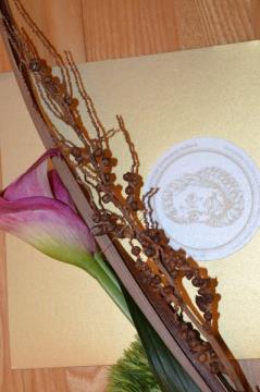 KONCERT OB 45. OBLETNICI MOPZ TRIGLAV TRENTA 6