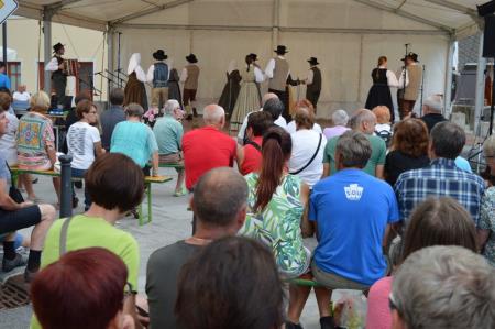 TUDI LETOS PESTRO KULTURNO DOGAJANJE NA BOVŠKEM 9