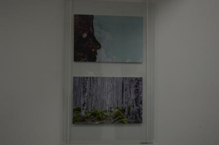 KDO SE BOJI KRIVOPET 5