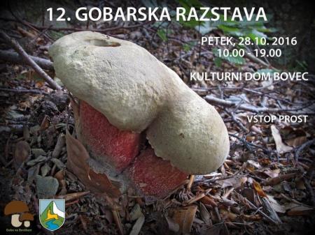 12. GOBARSKA RAZSTAVA 9