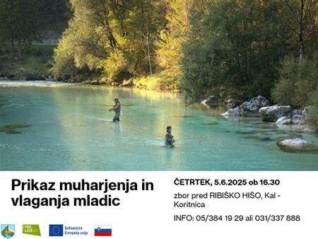 Vabilo_muharjenje_mladice