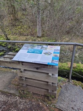 foto: METKA BELINGAR